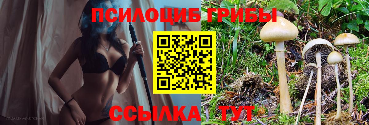 Галлюциногенные грибы мухоморы Асбест